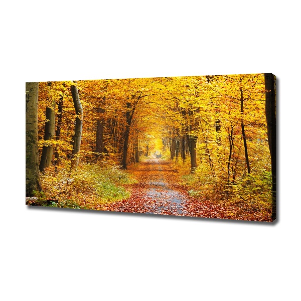 Cuadro canvas con impresión uv duradera horizontal Bosque en otoño