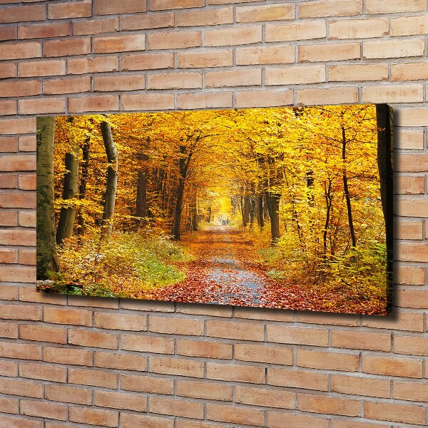 Cuadro canvas con impresión uv duradera horizontal Bosque en otoño