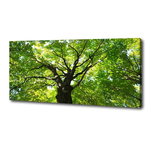 Cuadro canvas moderno de gran formato horizontal Bosque verde