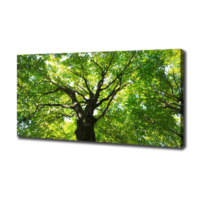 Cuadro canvas moderno de gran formato horizontal Bosque verde