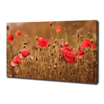 Foto en lienzo con acabado profesional horizontal Tríptico de amapolas