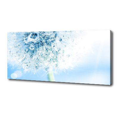 Cuadro canvas moderno de gran formato horizontal Diente de león