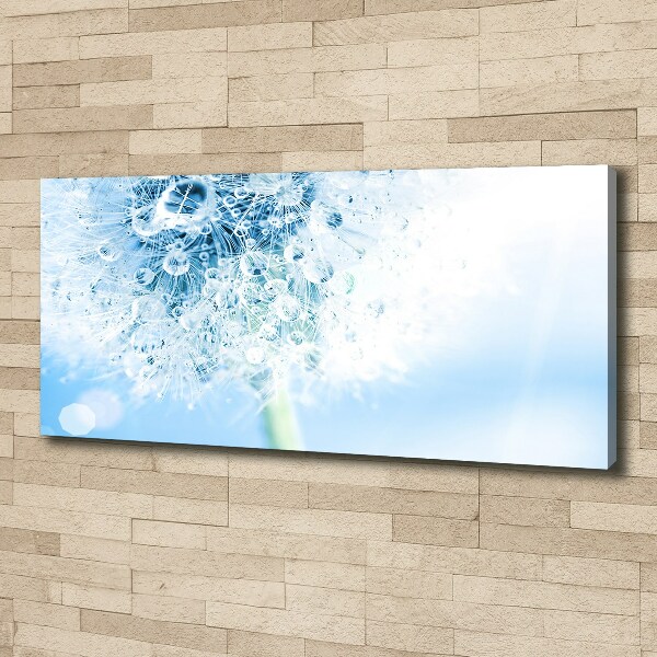 Cuadro canvas moderno de gran formato horizontal Diente de león