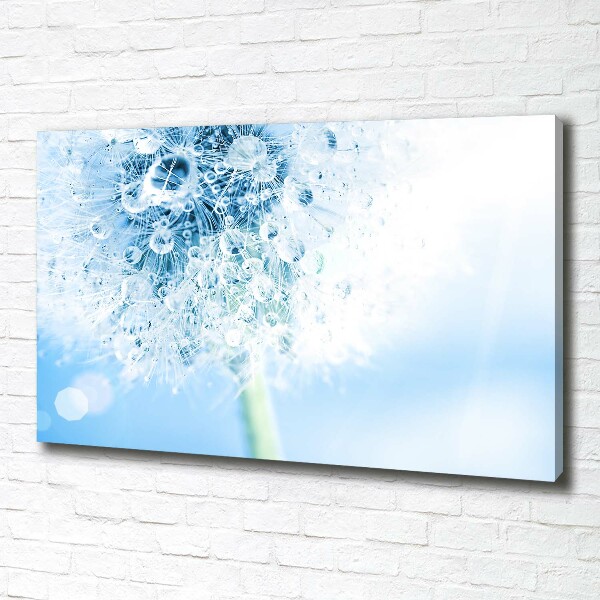 Cuadro canvas moderno de gran formato horizontal Diente de león