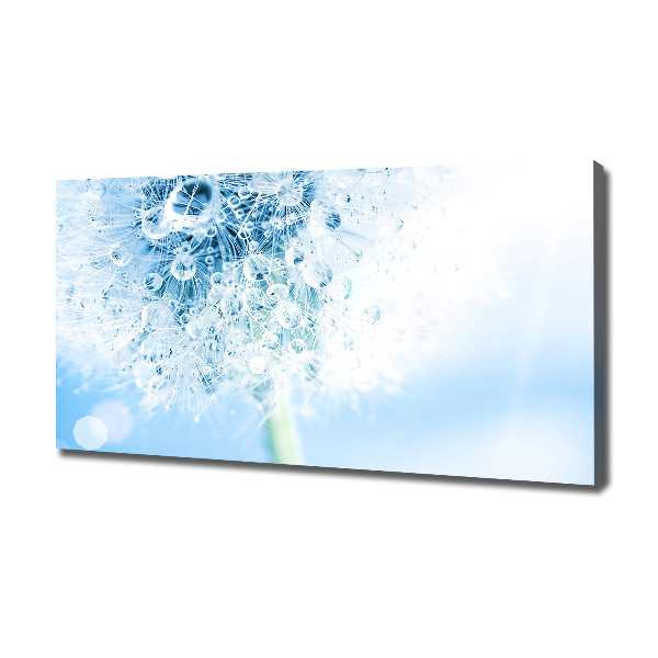 Cuadro canvas moderno de gran formato horizontal Diente de león