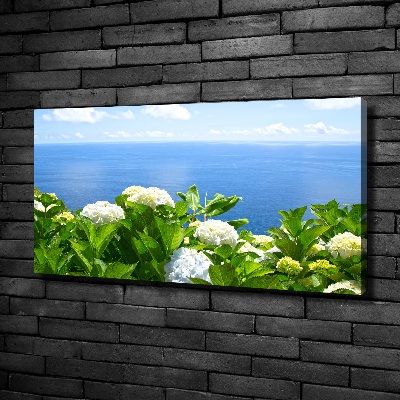 Cuadro canvas con impresión uv duradera horizontal Flores junto al mar