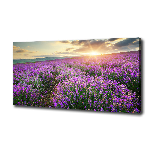 Fotocuadro en lienzo de alta calidad horizontal campo de lavanda