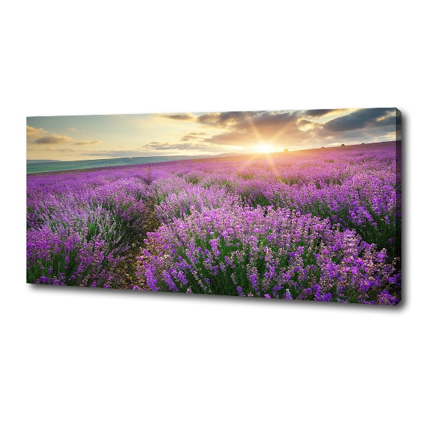 Fotocuadro en lienzo de alta calidad horizontal campo de lavanda
