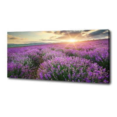 Fotocuadro en lienzo de alta calidad horizontal campo de lavanda
