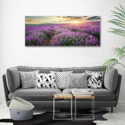 Fotocuadro en lienzo de alta calidad horizontal campo de lavanda