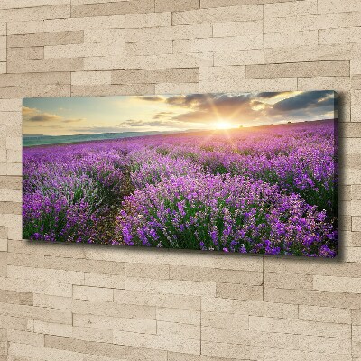 Fotocuadro en lienzo de alta calidad horizontal campo de lavanda