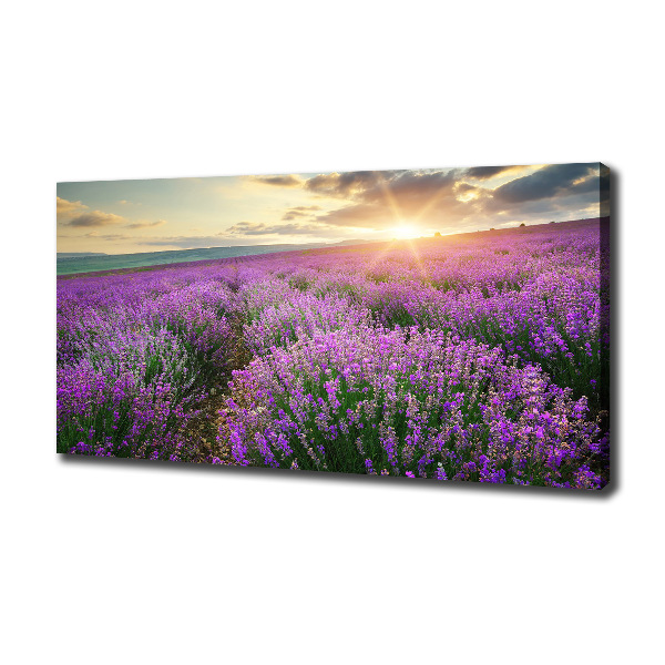 Fotocuadro en lienzo de alta calidad horizontal campo de lavanda