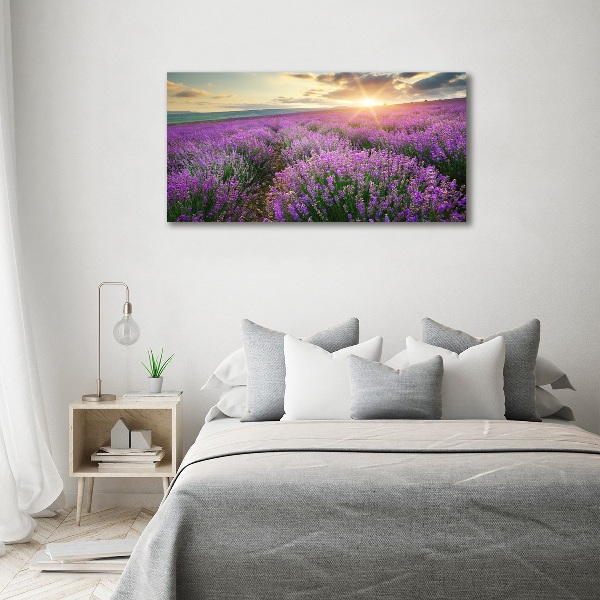 Fotocuadro en lienzo de alta calidad horizontal campo de lavanda