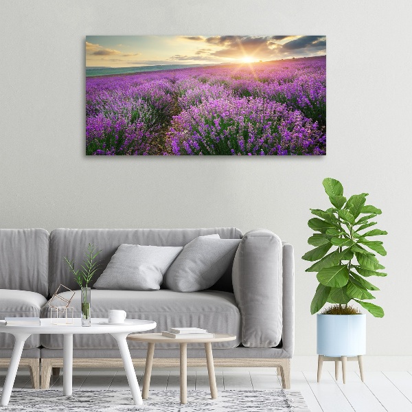 Fotocuadro en lienzo de alta calidad horizontal campo de lavanda