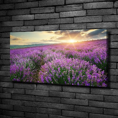 Fotocuadro en lienzo de alta calidad horizontal campo de lavanda