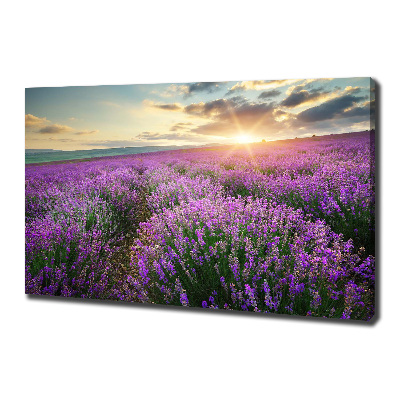 Fotocuadro en lienzo de alta calidad horizontal campo de lavanda