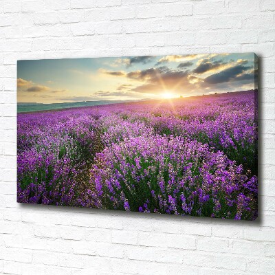 Fotocuadro en lienzo de alta calidad horizontal campo de lavanda