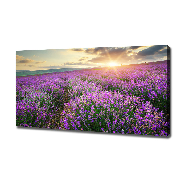 Fotocuadro en lienzo de alta calidad horizontal campo de lavanda
