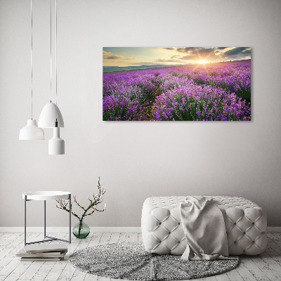 Fotocuadro en lienzo de alta calidad horizontal campo de lavanda