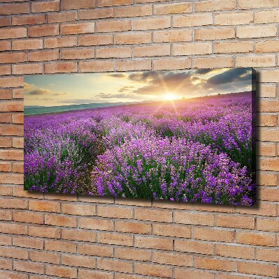 Fotocuadro en lienzo de alta calidad horizontal campo de lavanda