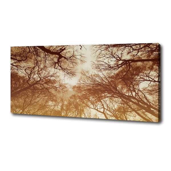 Cuadro canvas moderno de gran formato horizontal Bosque