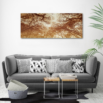 Cuadro canvas moderno de gran formato horizontal Bosque