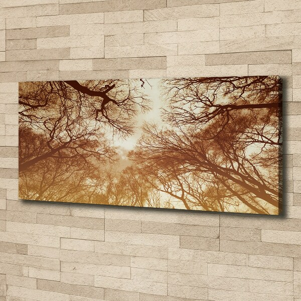 Cuadro canvas moderno de gran formato horizontal Bosque