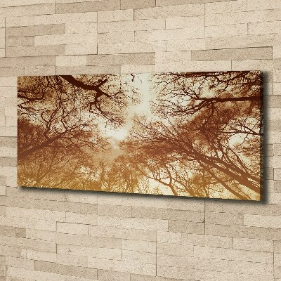 Cuadro canvas moderno de gran formato horizontal Bosque
