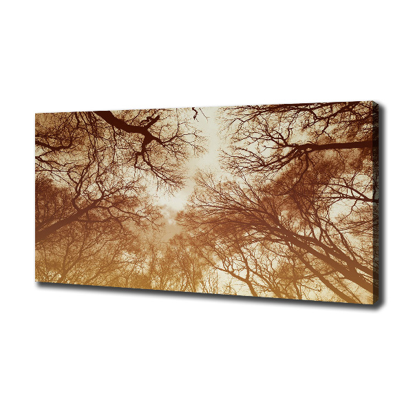 Cuadro canvas moderno de gran formato horizontal Bosque