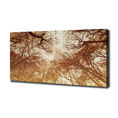 Cuadro canvas moderno de gran formato horizontal Bosque