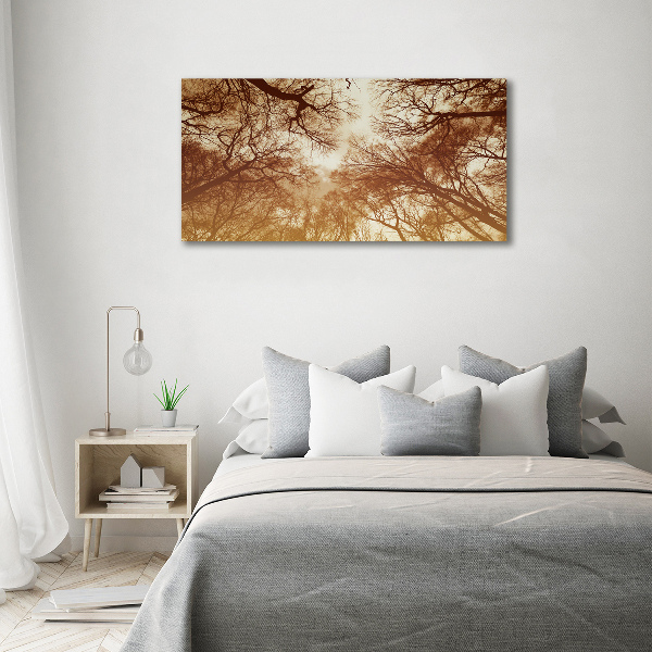 Cuadro canvas moderno de gran formato horizontal Bosque