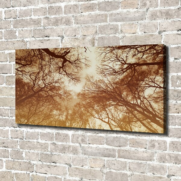 Cuadro canvas moderno de gran formato horizontal Bosque