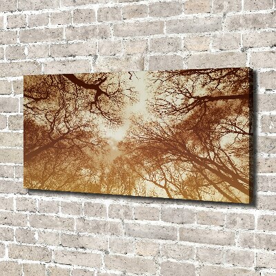 Cuadro canvas moderno de gran formato horizontal Bosque
