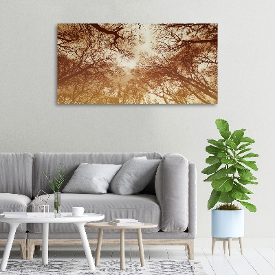 Cuadro canvas moderno de gran formato horizontal Bosque