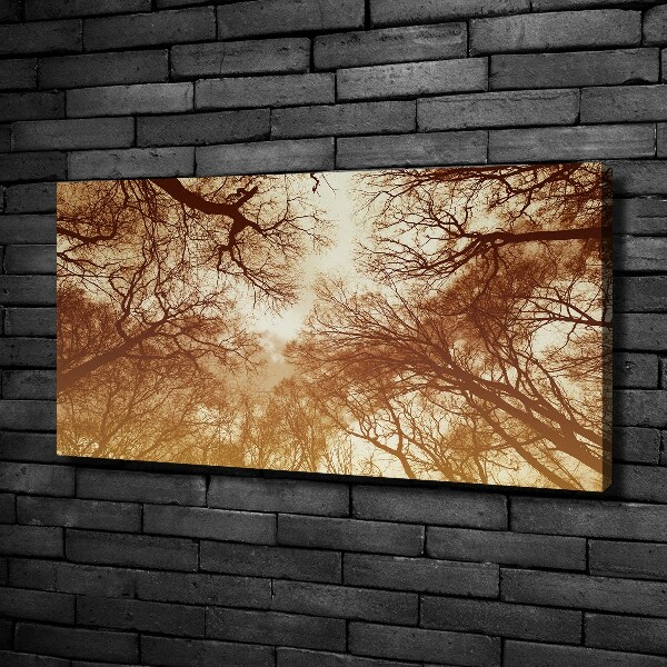 Cuadro canvas moderno de gran formato horizontal Bosque