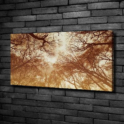 Cuadro canvas moderno de gran formato horizontal Bosque