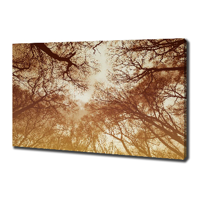 Cuadro canvas moderno de gran formato horizontal Bosque