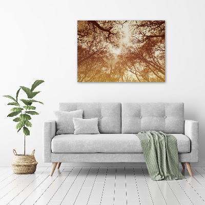 Cuadro canvas moderno de gran formato horizontal Bosque