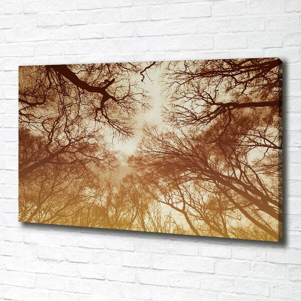 Cuadro canvas moderno de gran formato horizontal Bosque