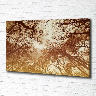 Cuadro canvas moderno de gran formato horizontal Bosque