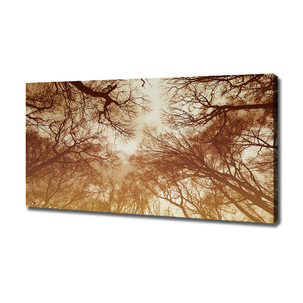 Cuadro canvas moderno de gran formato horizontal Bosque