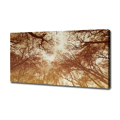 Cuadro canvas moderno de gran formato horizontal Bosque