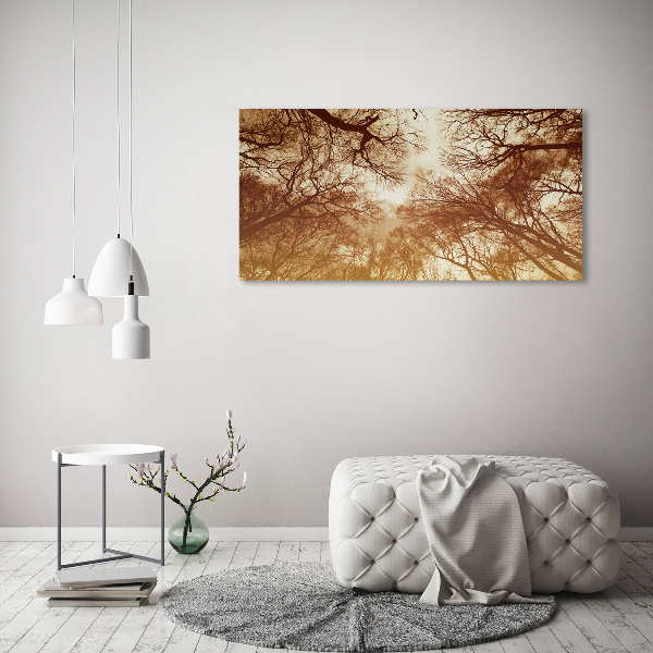Cuadro canvas moderno de gran formato horizontal Bosque