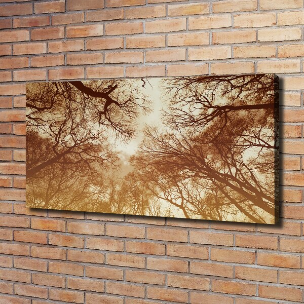 Cuadro canvas moderno de gran formato horizontal Bosque