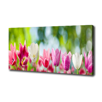 Cuadro canvas con impresión uv duradera horizontal Tulipanes