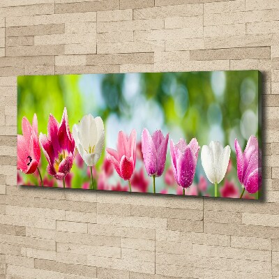 Cuadro canvas con impresión uv duradera horizontal Tulipanes