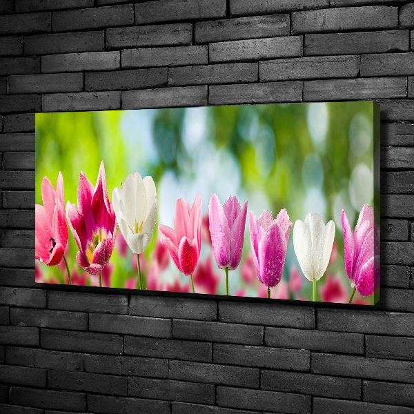 Cuadro canvas con impresión uv duradera horizontal Tulipanes