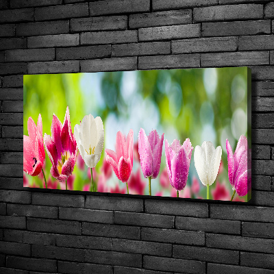 Cuadro canvas con impresión uv duradera horizontal Tulipanes