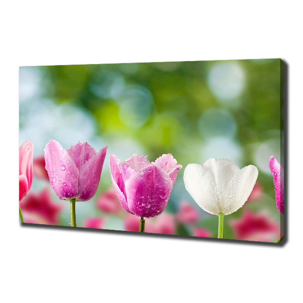 Cuadro canvas con impresión uv duradera horizontal Tulipanes