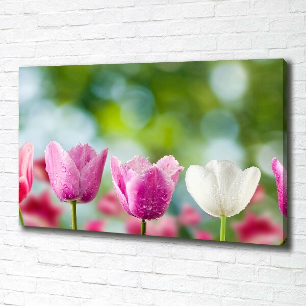 Cuadro canvas con impresión uv duradera horizontal Tulipanes